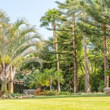 The Grand Oasis Estepona ماربيا المظهر الخارجي الصورة