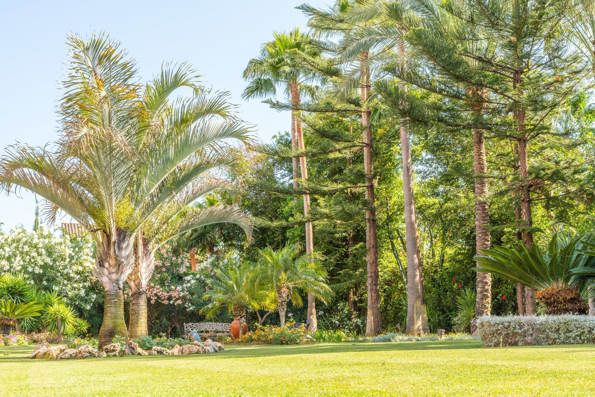 The Grand Oasis Estepona ماربيا المظهر الخارجي الصورة
